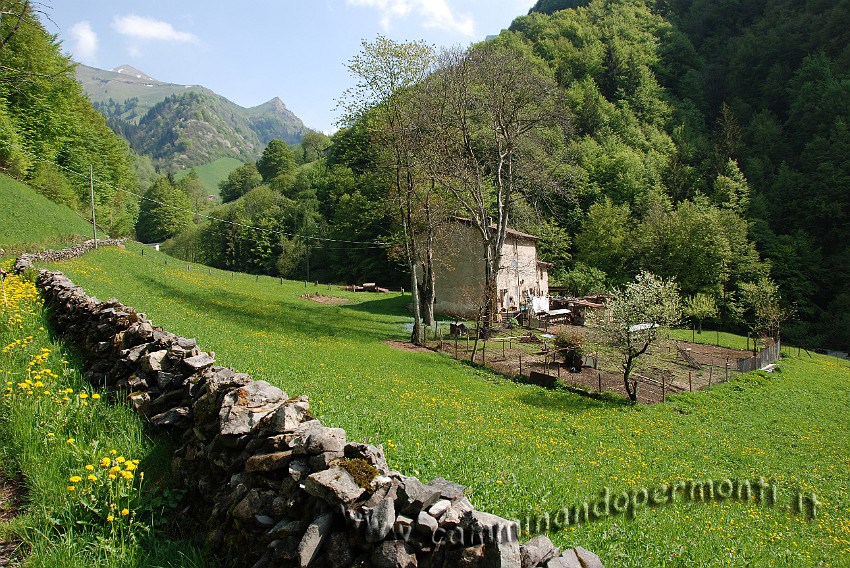 09 03632 Contrada Piazzola - sullo sfondo Zucco di Menna.JPG